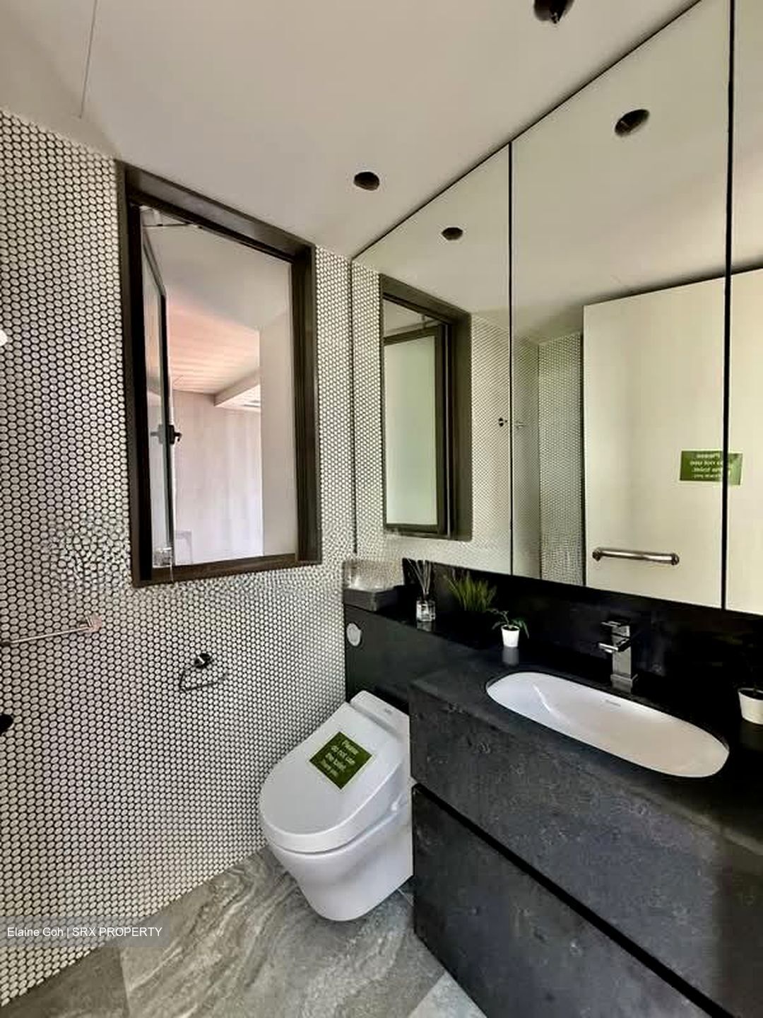 10 Evelyn (D11), Apartment #603512181
